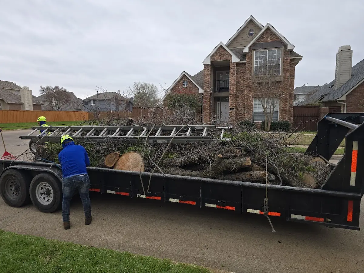 Expert Lot Clearing with proper safety equipment in Stanfield